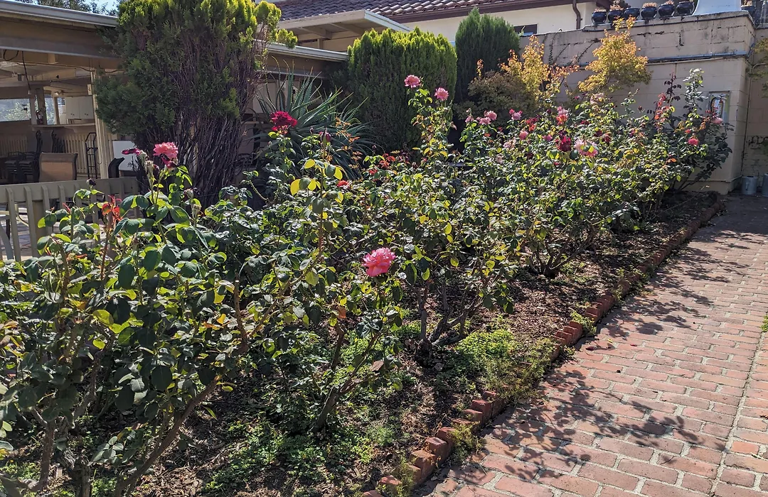 Los Gatos Garden Inn Hotel-1